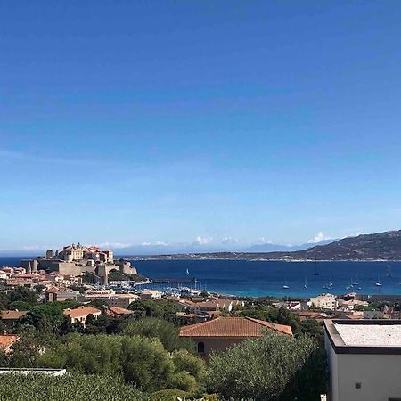 Exceptionnelle Vue Mer Calvi - Piscine - T2 Eksteriør billede