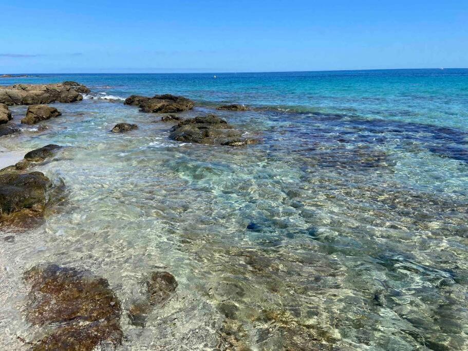 Exceptionnelle Vue Mer Calvi - Piscine - T2 Eksteriør billede