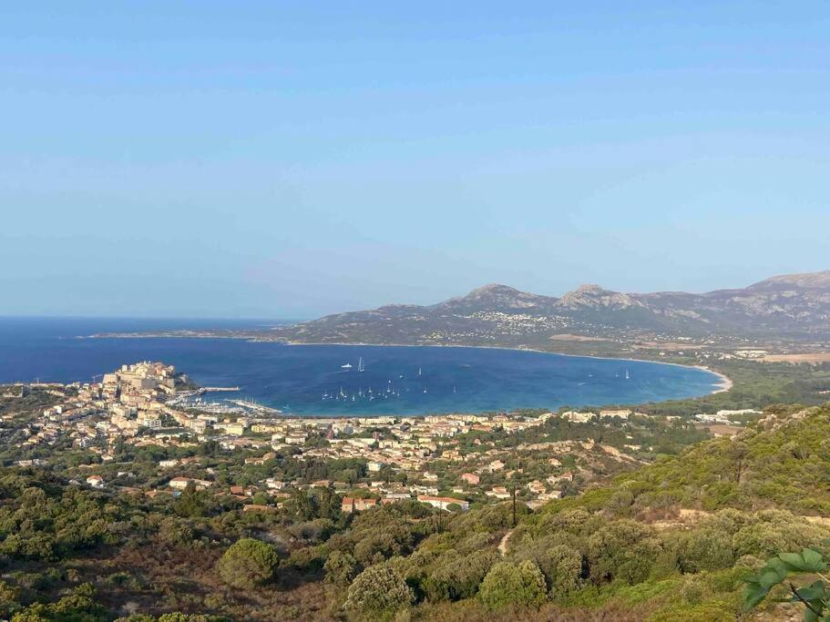 Exceptionnelle Vue Mer Calvi - Piscine - T2 Eksteriør billede