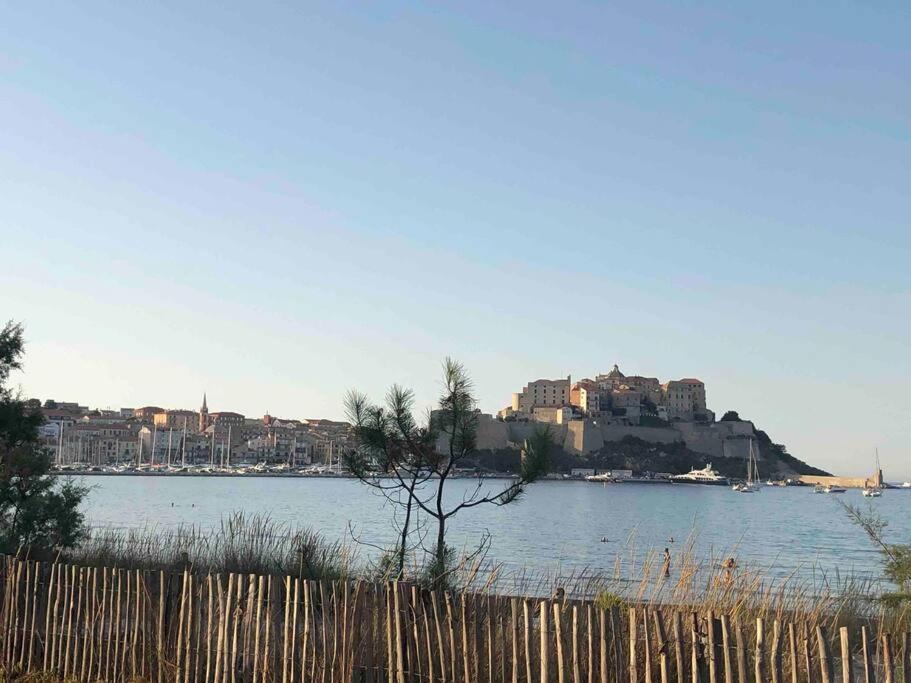 Exceptionnelle Vue Mer Calvi - Piscine - T2 Eksteriør billede
